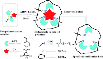 Graphical abstract: Preparation of metallic pivot-based imprinted monoliths with a hydrophilic macromonomer