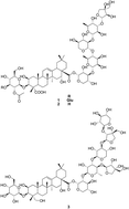 Graphical abstract: Cytotoxic saponin poliusaposide from Teucrium polium