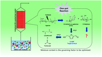 Graphical abstract: Production of 5-hydroxymethylfurfural from agarose by using a solid acid catalyst in dimethyl sulfoxide
