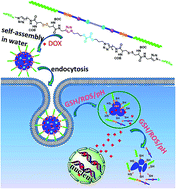 Graphical abstract: Novel multi-sensitive pseudo-poly(amino acid) for effective intracellular drug delivery
