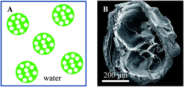 Graphical abstract: Preparation and properties of stretchable and tough alginate/polyacrylamide hollow capsules