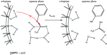Graphical abstract: The hydrolysis of phenyl trifluoroacetate in AOT/n-heptane RMs as a sensor of the encapsulated water structure