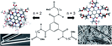 Graphical abstract: Influence of side-chain interactions on the self-assembly of discotic tricarboxyamides: a crystallographic insight