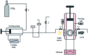 Graphical abstract: High-pressure phase behavior of 1-ethyl-3-methylimidazolium tetrafluoroborate and carbon dioxide system