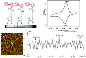 Graphical abstract: Self-assembly of catecholic ferrocene and electrochemical behavior of its monolayer