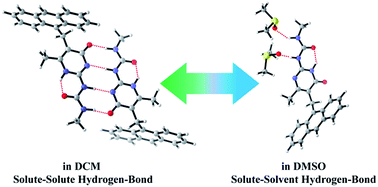 Graphical abstract: Hydrogen bond effect on the photophysical properties of 2-ureido-4[1H]-pyrimidinone quadruple hydrogen bonded systems