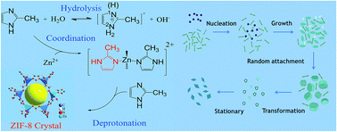 Graphical abstract: Water-based synthesis of zeolitic imidazolate framework-8 with high morphology level at room temperature
