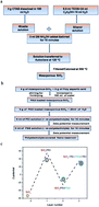 Graphical abstract: Mesoporous silica based reservoir for the active protection of mild steel in an aggressive chloride ion environment