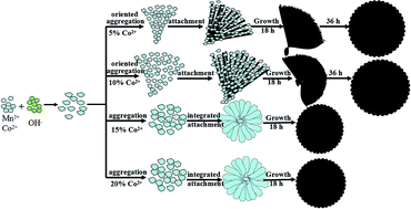 Graphical abstract: Hierarchical polymorphic MnCO3 series induced by cobalt doping via a one-pot hydrothermal route for CO catalytic oxidation