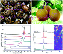 Graphical abstract: Biobased copolyesters from renewable resources: synthesis and crystallization behavior of poly(decamethylene sebacate-co-isosorbide sebacate)