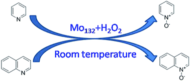 Graphical abstract: Catalytic system for pyridine oxidation to N-oxides under mild conditions based on polyoxomolybdate