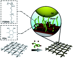 Graphical abstract: Underwater superoleophobic meshes fabricated by poly(sulfobetaine)/polydopamine co-deposition