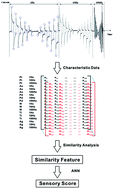 Graphical abstract: Determination of rice sensory quality with similarity analysis-artificial neural network method in electronic tongue system