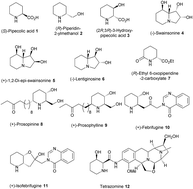 Graphical abstract: Enantioselective syntheses of (R)-pipecolic acid, (2R,3R)-3-hydroxypipecolic acid, β-(+)-conhydrine and (−)-swainsonine using an aziridine derived common chiral synthon
