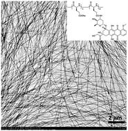 Graphical abstract: Fibril aggregates of the poly(glutamic acid)–drug conjugate