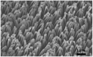 Graphical abstract: A state-of-the-art review and analysis on the design of dry adhesion materials for applications such as climbing micro-robots