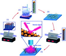 Graphical abstract: Morphological evolution of gold nanoparticles on silicon nanowires and their plasmonics