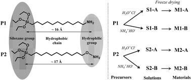 Graphical abstract: Structural study of hybrid silica bilayers from “bola-amphiphile” organosilane precursors: catalytic and thermal effects
