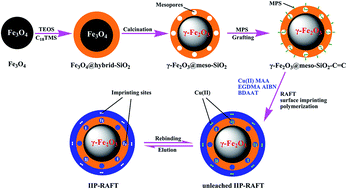 Graphical abstract: Monodisperse magnetic ion imprinted polymeric microparticles prepared by RAFT polymerization based on γ-Fe2O3@meso-SiO2 nanospheres for selective solid-phase extraction of Cu(ii) in water samples