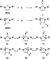 Graphical abstract: Zwitterionic carbene adducts and their carbene isomers
