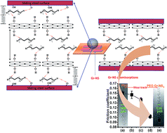 Graphical abstract: Chemically grafted graphite nanosheets dispersed in poly(ethylene-glycol) by γ-radiolysis for enhanced lubrication