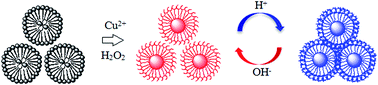 Graphical abstract: Ultra sensitive and wide-range pH sensor based on the BSA-capped Cu nanoclusters fabricated by fast synthesis through the use of hydrogen peroxide additive