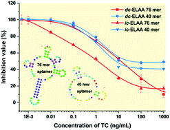 Graphical abstract: Conformational structure-dependent molecular recognition of two aptamers for tetracycline