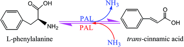 Graphical abstract: Phenylalanine ammonia-lyase, a key component used for phenylpropanoids production by metabolic engineering