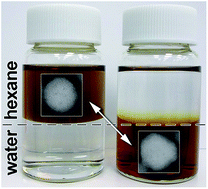 Graphical abstract: Straightforward phase-transfer route to colloidal iron oxide nanoparticles for protein immobilization