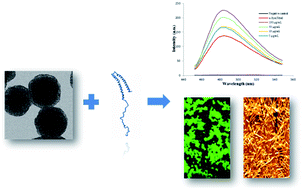 Graphical abstract: The effect of mesoporous silica nanoparticle surface chemistry and concentration on the α-synuclein fibrillation