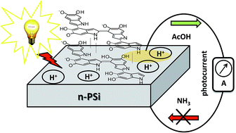 Graphical abstract: Boosting, probing and switching-off visible light-induced photocurrents in eumelanin-porous silicon hybrids