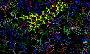 Graphical abstract: Protein–ligand interaction study of signal transducer smoothened protein with different drugs: molecular docking and QM/MM calculations