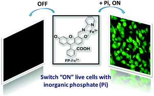 Graphical abstract: A new fluorescent chemosensor for highly selective and sensitive detection of inorganic phosphate (Pi) in aqueous solution and living cells