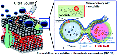 Graphical abstract: Bi-modal cancer treatment utilizing therapeutic ultrasound and an engineered therapeutic nanobubble