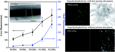Graphical abstract: Using coaxial electrospinning to fabricate core/shell-structured polyacrylonitrile–polybenzoxazine fibers as nonfouling membranes