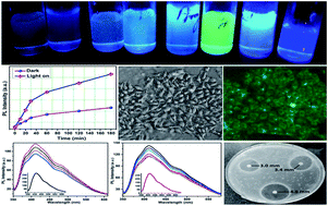 Graphical abstract: Retracted Article: Amino acid derived highly luminescent, heteroatom-doped carbon dots for label-free detection of Cd2+/Fe3+, cell imaging and enhanced antibacterial activity