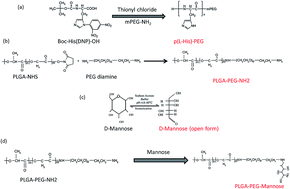 Graphical abstract: Ligand-conjugated pH-sensitive polymeric micelles for the targeted delivery of gefitinib in lung cancers