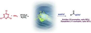 Graphical abstract: An efficient mechanochemical synthesis of amides and dipeptides using 2,4,6-trichloro-1,3,5-triazine and PPh3