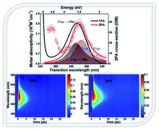 Graphical abstract: Investigation of the nonlinear absorption spectrum of all-trans retinoic acid by using the steady and transient two-photon absorption spectroscopy