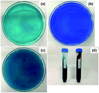 Graphical abstract: Synthesis of different CuO nanostructures by a new catalytic template method as anode materials for lithium-ion batteries