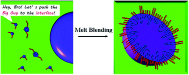 Graphical abstract: Synergistic effect of PLA–PBAT–PLA tri-block copolymers with two molecular weights as compatibilizers on the mechanical and rheological properties of PLA/PBAT blends