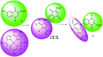 Graphical abstract: Synthesis of new porphyrin/4-quinolone conjugates and evaluation of their efficiency in the photoinactivation of Staphylococcus aureus
