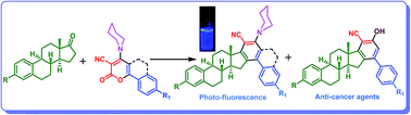 Graphical abstract: Synthesis, photophysical and anticancer study of D-ring extended estrone analogues
