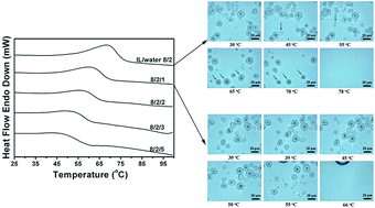 Graphical abstract: Effect of water and methanol on the dissolution and gelatinization of corn starch in [MMIM][(MeO)HPO2]