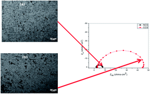 Graphical abstract: The effect of microstructure and elemental content on corrosion and corrosion inhibition of mild steel in a 0.5 M H2SO4 environment