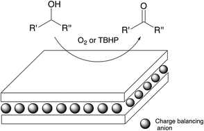 Graphical abstract: Catalytic oxidation of alcohols to carbonyl compounds over hydrotalcite and hydrotalcite-supported catalysts