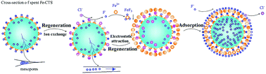 Graphical abstract: Chemical regeneration mechanism of Fe-impregnated chitosan using ferric chloride