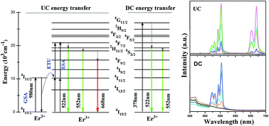 Graphical abstract: Mechanistic investigation on up and down conversion of Er3+ and Gd3+ co-doped YTiNbO6 phosphors