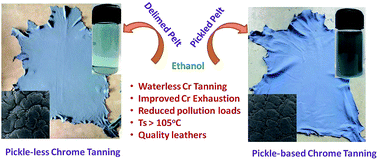 Graphical abstract: Waterless tanning: chrome tanning in ethanol and its derivatives