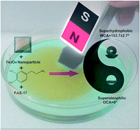 Graphical abstract: Superhydrophobic/superoleophilic magnetic polyurethane sponge for oil/water separation